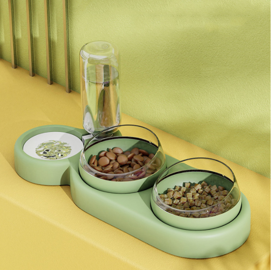 Automatic Pet Feeder with Water Fountain and Raised Stand